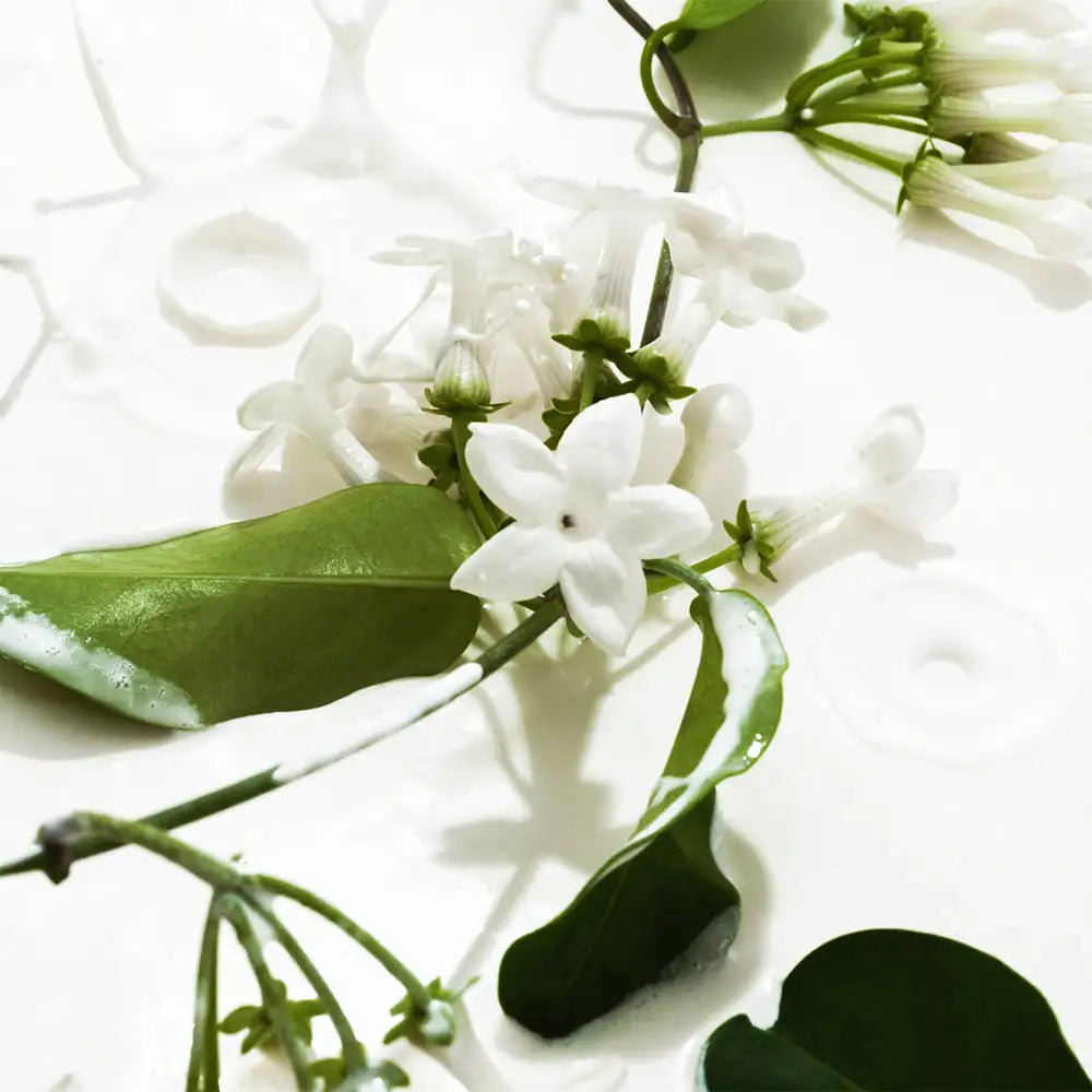 Vanilla Jasmine Fragrance Mist